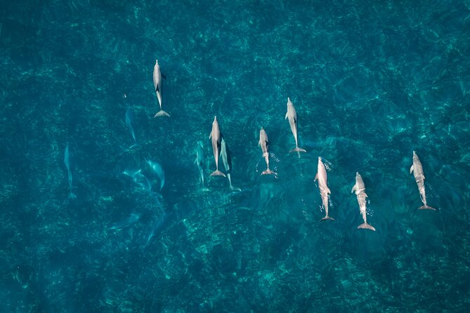 Pink Lake and Abrolhos Flyover Tour - Customer Support