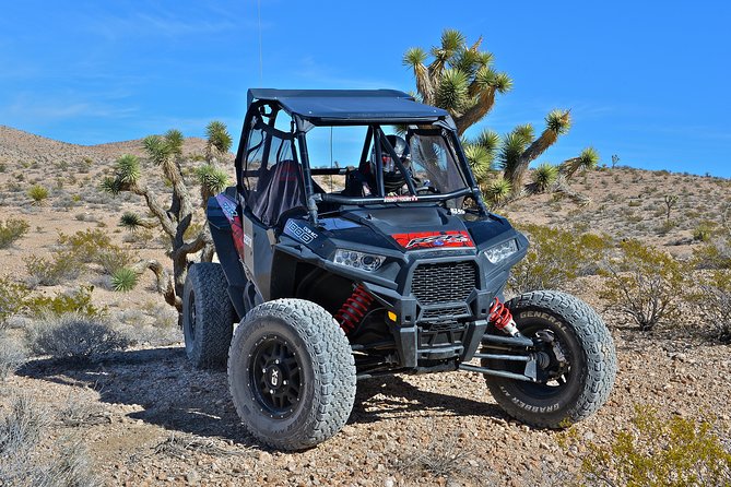 Pioneer Desert Adventure With Lunch at the Historic Pioneer Saloon! - Customer Reviews