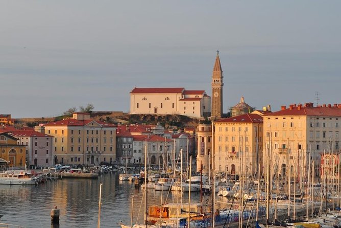 Piran and Scenic Slovenian Coast - Private Tour From Trieste - Cancellation and Refund Policy