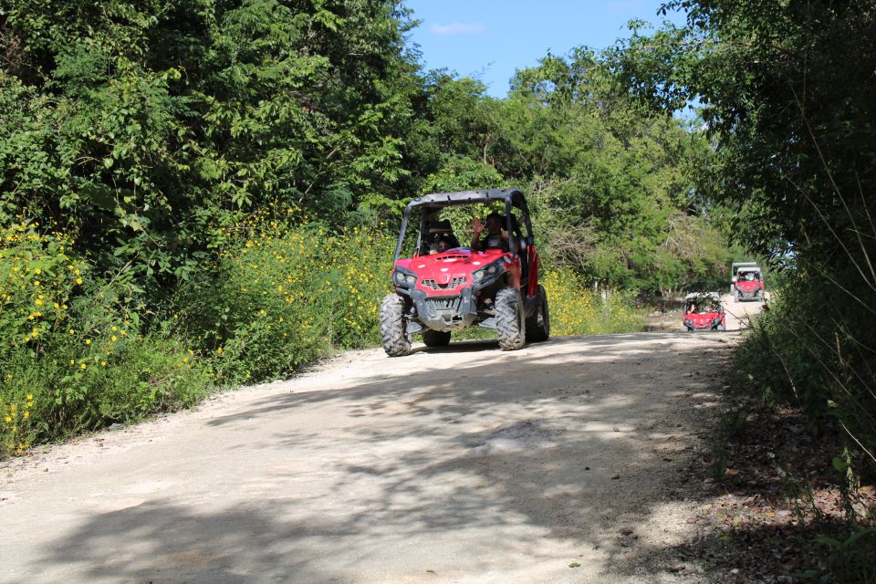 Playa Del Carmen: Riviera Maya Buggy Tour With Cenote Swim - Customer Reviews