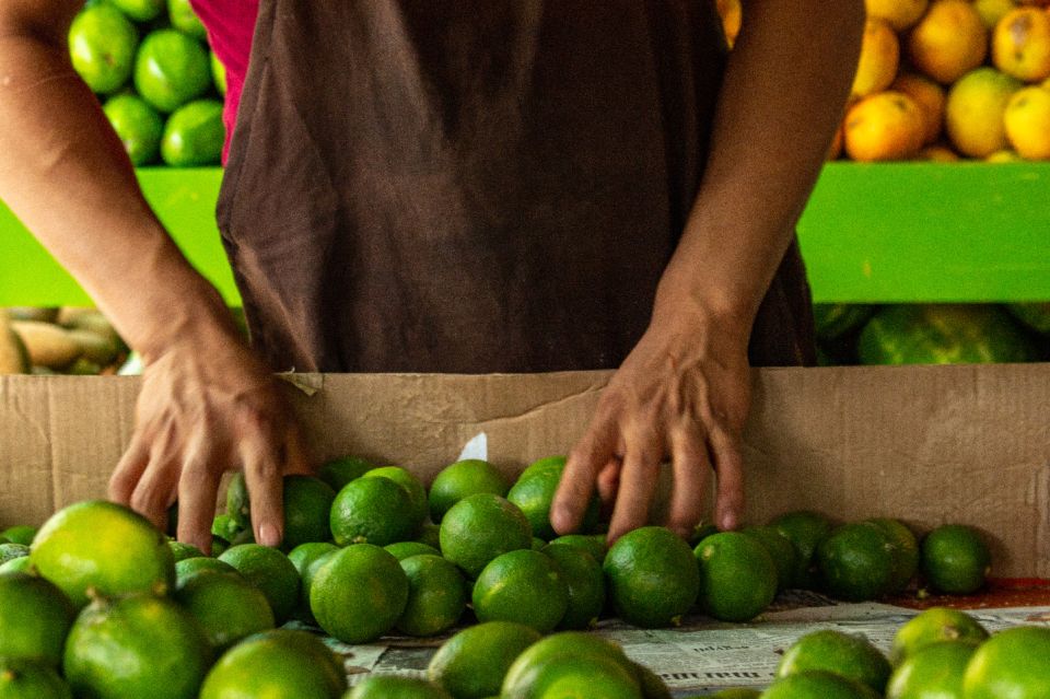 Playa Del Carmen: Vegan Food Walking Tour - Cultural Immersion