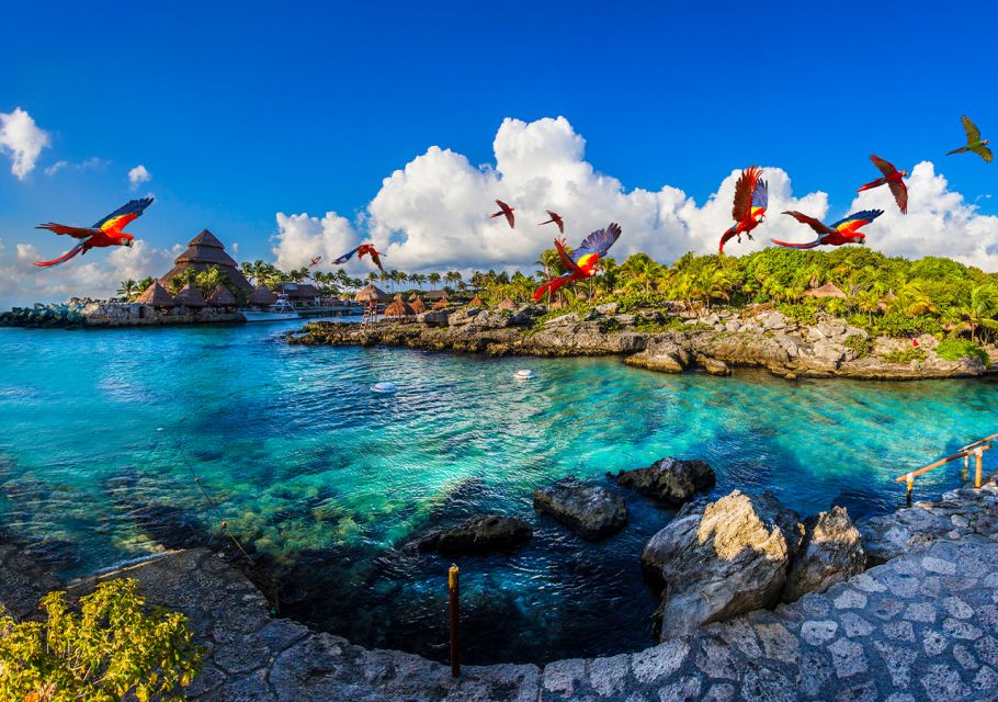 Playa Del Carmen: Xcaret Park Afternoon Ticket W/ Night Show - Transportation Details