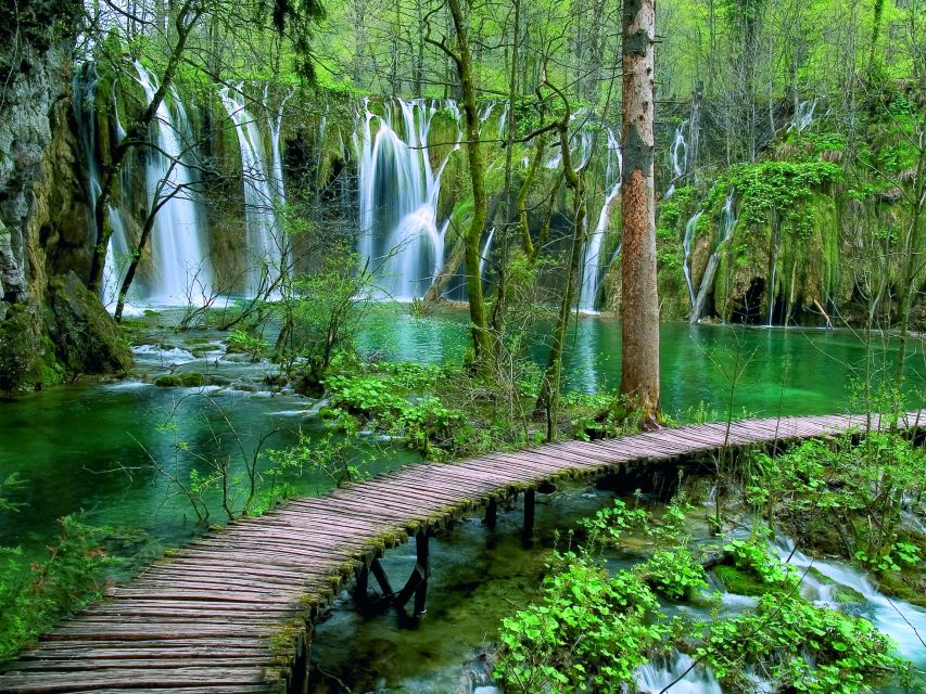 Plitvice Lakes National Park: Private Tour From Zadar - Customer Reviews