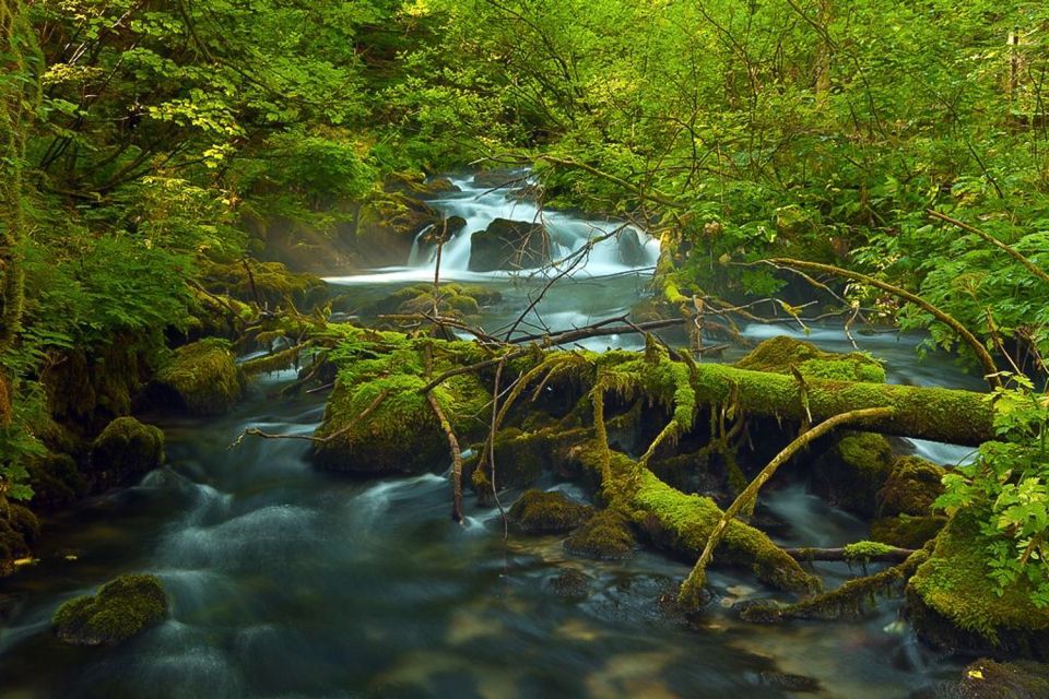 Plitvice Lakes Private Guided Tour - Guide Attributes