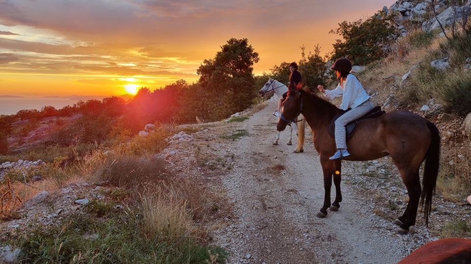 Podstrana: Guided Horseback Riding Experience - Directions