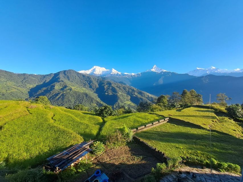 Pokhara: 3 Day Ghorepani Poonhill Short Trek - Day 3: Poon Hill Hike