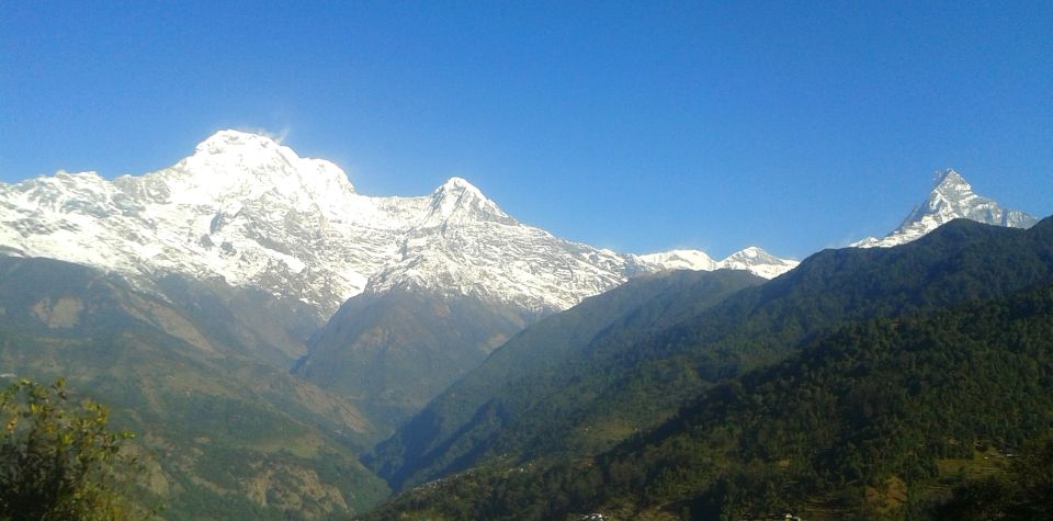 Pokhara: 4 Days Mardi Himal Trek - Trek Itinerary Details