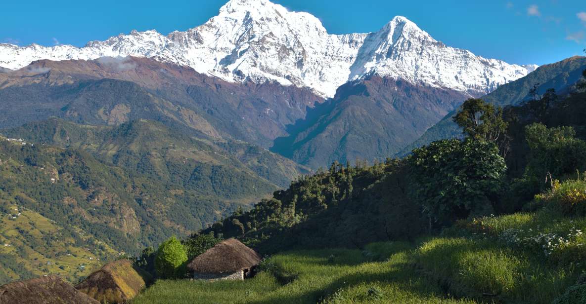 Pokhara: Australian Base Camp Day Hike - Customer Reviews