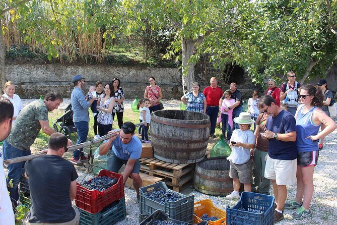 Pompeii Wine Tasting Tour From Positano - Booking Process