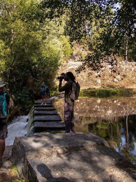 Ponte De Lima: Treasures From the Oldest Village of PT - Full Description of the Activity