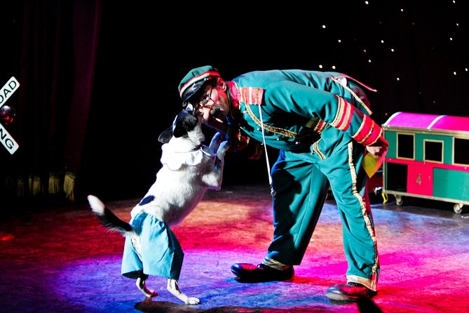 Popovich Comedy Pet Theater at Planet Hollywood Resort and Casino - Overall Show Experience