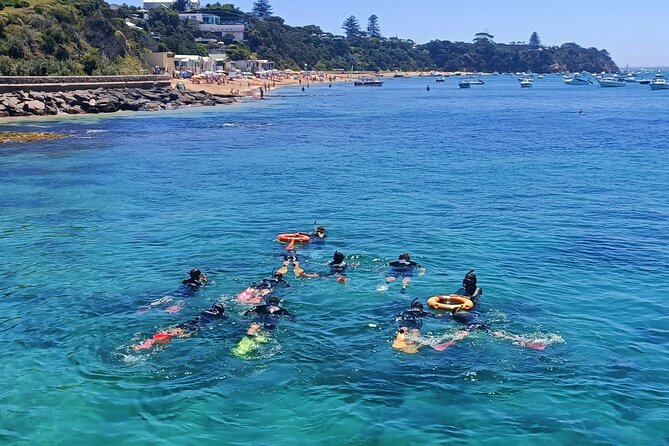 Port Phillip Bay Snorkeling With Sea Dragons - Cancellation Policy and Refunds
