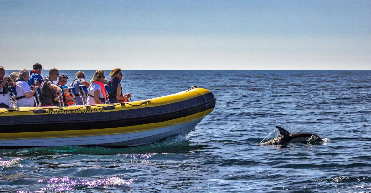 Portimão: 2-Hour Dolphin Watching Boat Tour - Exploration of Benagil Caves