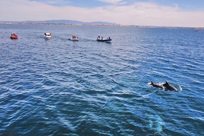 Portimao Caves and Coast Sightseeing Boat Tour - Scenic Views and Conditions