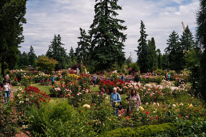 Portland Afternoon City Tour - Popular Spots