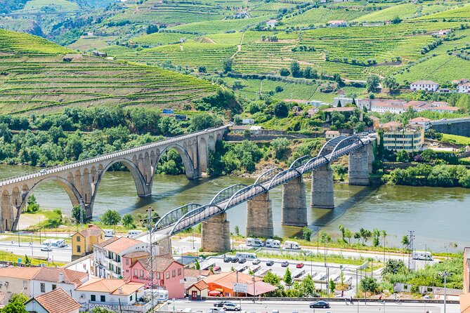 Porto Douro Valley Full-Day Wine Tasting, River Cruise and Lunch - Challenges Faced and Recommendations