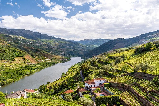 Porto: Douro Valley Wine Tour Including Lunch - Customer Feedback