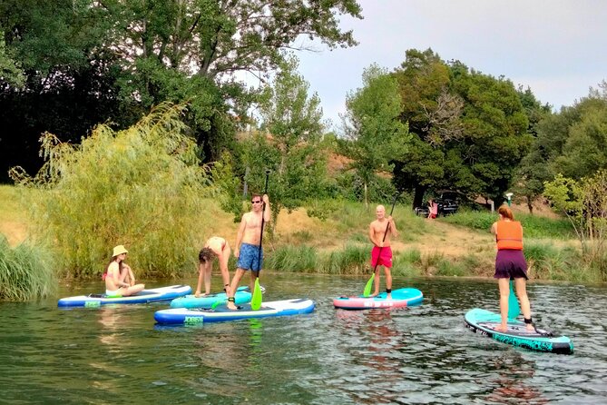 Porto Private Stand-Up Paddle River Tour With Pickup - Additional Information