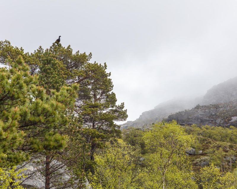 Preikestolen Hidden Trail Hike Canoe Trip - Customer Reviews