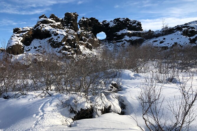 Premium Combo Day Tour Lake Myvatn and Dettifoss - Tour Services and Inclusions