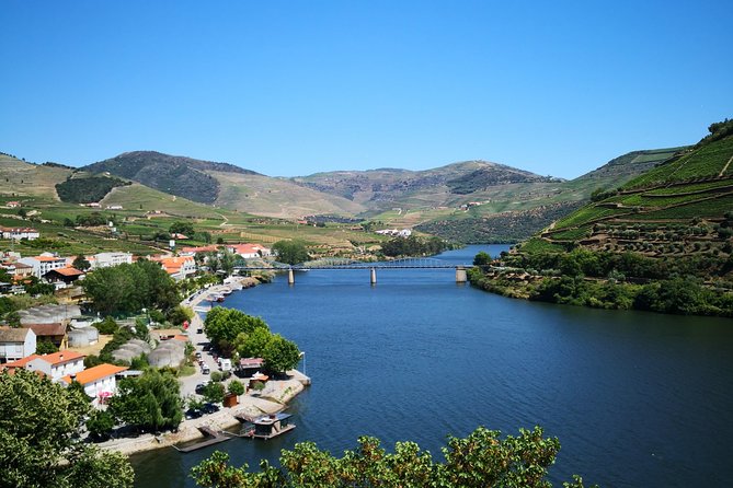 Premium Private Douro Tour: 3 Wineries With Tastings & Lunch - Common questions