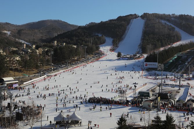 [Premium Private Ski Tour] Pyeongchang Olympic Site (Private Ski Lesson) - Additional Booking Information