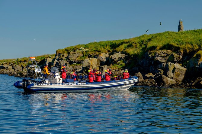 Premium Small-Group Puffin & Bird Watching Tour From Reykjavík - Customer Reviews