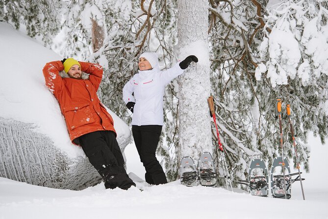 Premium Snowshoeing in Pyhä-Luosto National Park - Last Words