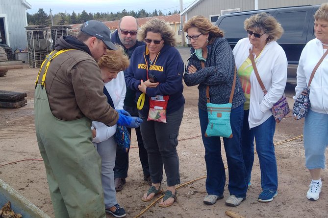 Prince Edward Island Mead, Cider, and Wine Private Tour  - Charlottetown - Visit Locations and Activities