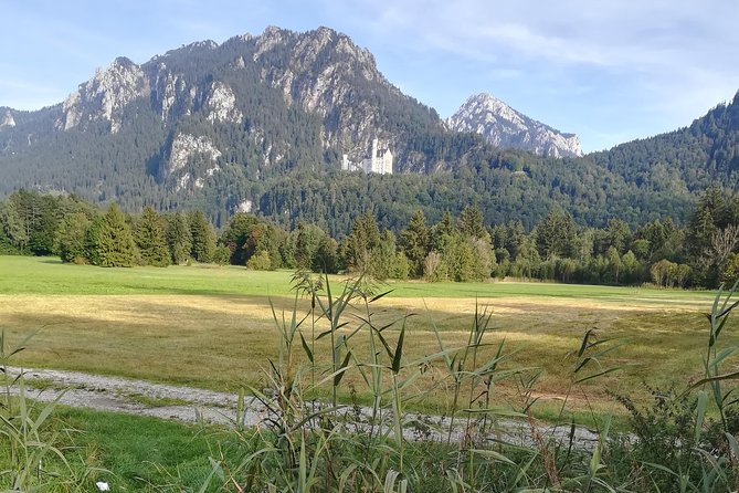 Privat Half Day Tour From Garmisch-P. to Neuschwanstein Castle - Traveler Reviews Summary