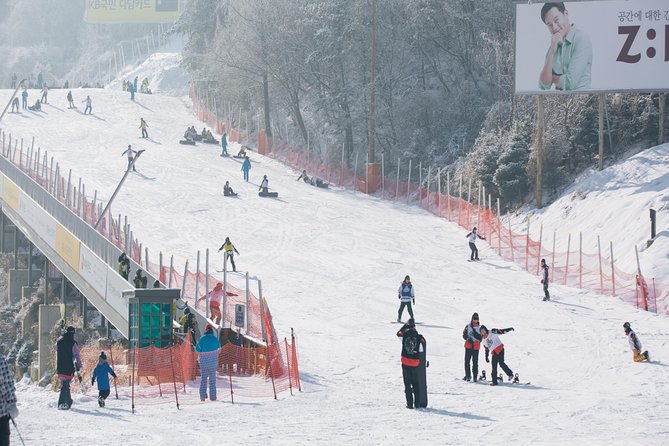 Private 1:1 Ski Lesson Near Seoul, South Korea - Additional Information and Resources