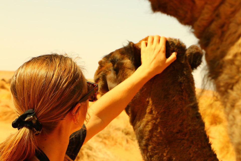 Private 2-Day Camel Trekking With All Inclusive Luxury Camp - Engaging Experience Overview