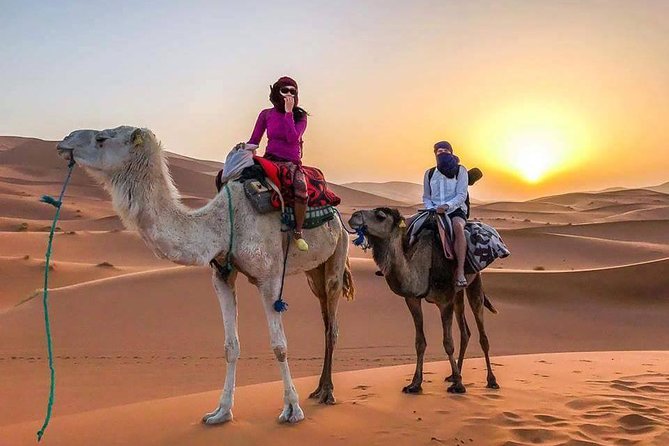 Private 3 Day Desert Tour From Marrakech To Merzouga Dunes - Last Words