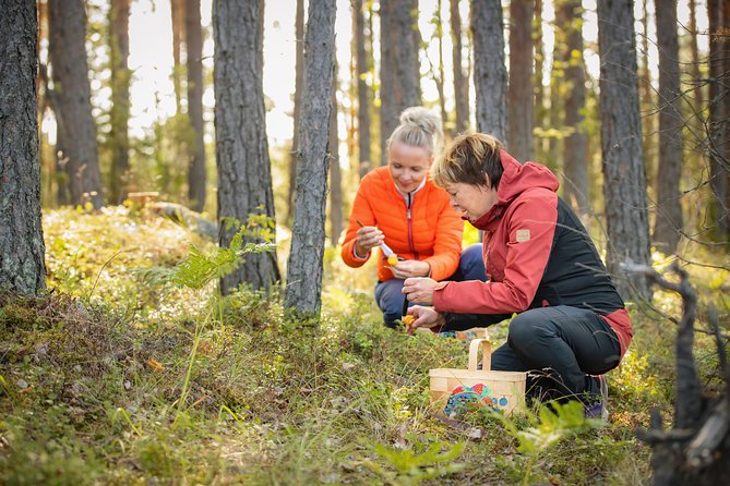 Private 3-Hour Wildfoods Walk in the Forest  - Finland - Booking and Cancellation Policies