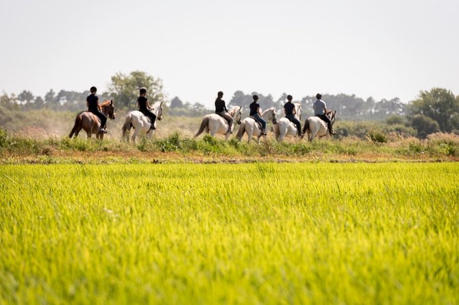 Private 75-Minute Horseback Riding Tour on the Beach  - Setubal District - Experience Details