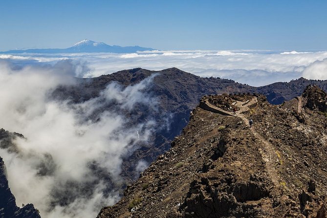 Private 8-Hour Shore Excursion to El Teide Cable Car With Guide and Driver - Help and Contact