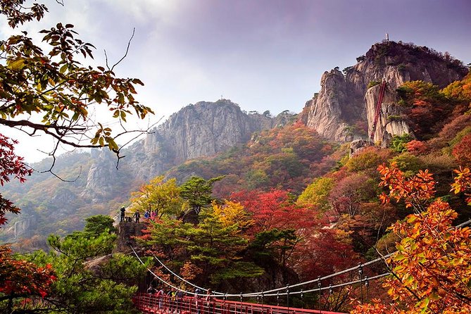 Private 9-Day Korea Sightseeing With Transportation and Hotel  - Seoul - Booking Information