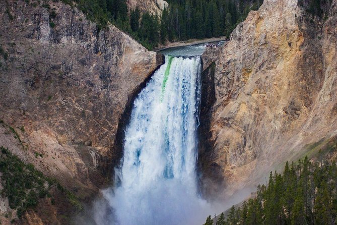 Private All-Day Tour of Yellowstone National Park - Wildlife Encounters and Park Exploration