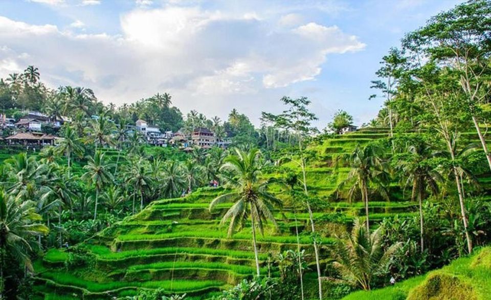 Private Bali Tour Charter - Common questions