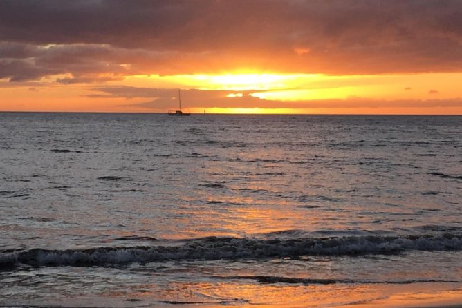 Private Beginner Paddleboard Lesson With Snorkel in Turtle Town! - Reviews and Pricing