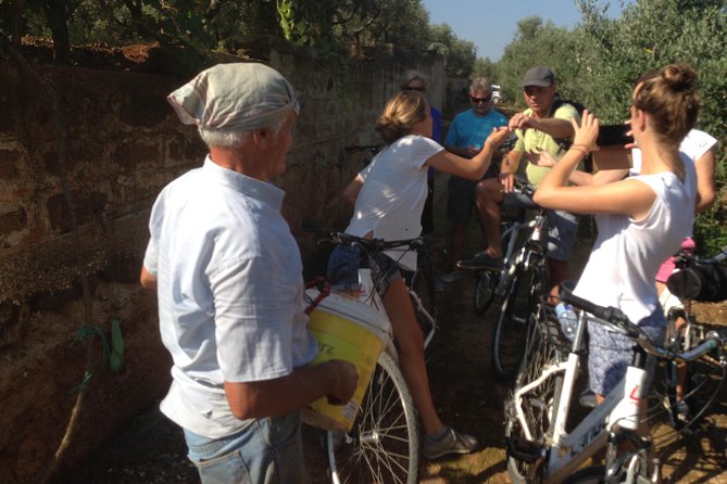 Private Bike Tour With Olive Oil Tasting - Viator Background Information