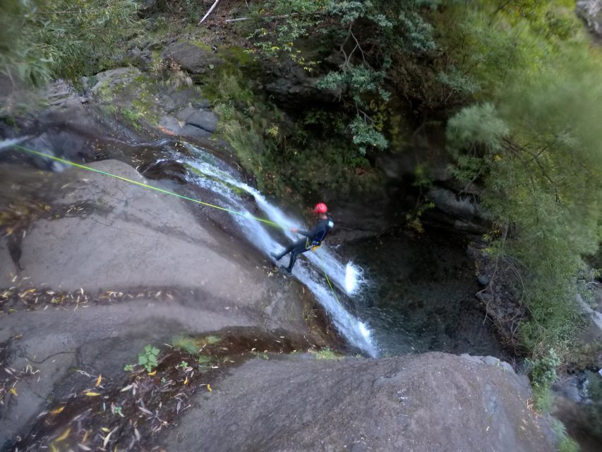 Private Canyoning Tour: Madeira - Traveler Reviews