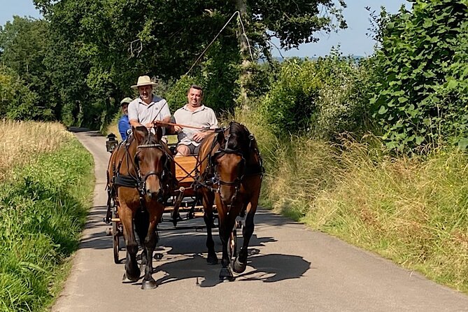 Private Carriage Ride in Saint-Pierre-Azif - Additional Information