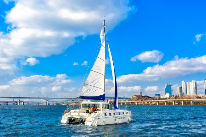 Private Catamaran Yacht Tour in Han River - Additional Information
