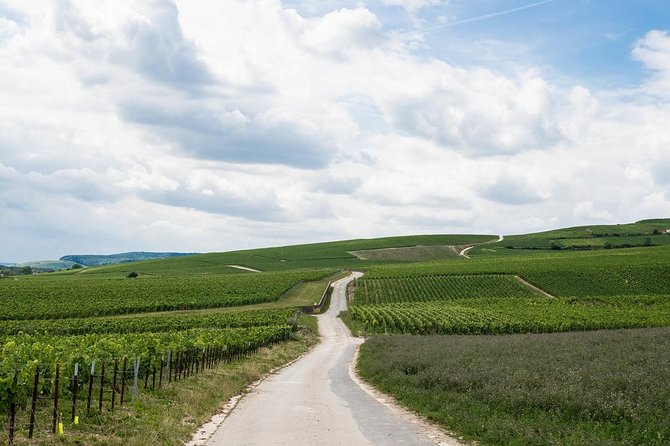 Private Champagne Tour and Reims From Paris With Hotel Pick up - Booking Tips and Recommendations