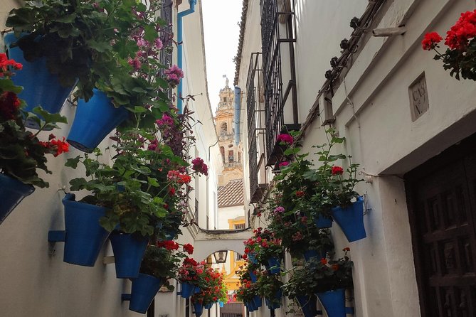 Private Córdoba Highlights Walking Tour - Customer Reviews