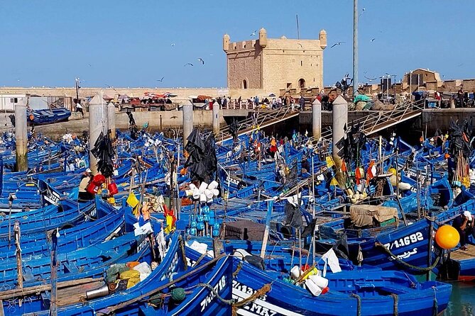 Private Day Tour to Essaouira From Marrakech - Star Ratings
