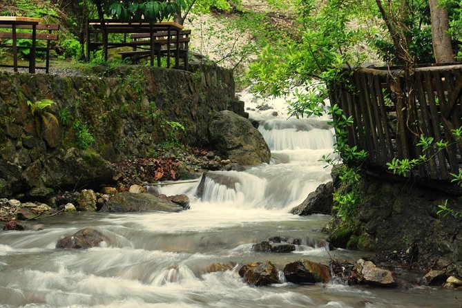 Private Day Trip From Istanbul to Lake Sapanca and Maşukiye Village - Culinary Experiences