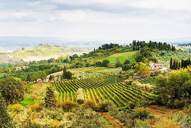 Private Day Trip to Orvieto and Umbria Region From Rome - Legal Information