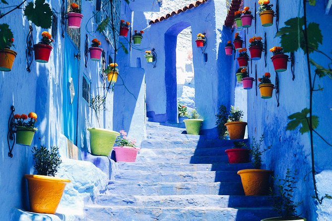 Private Day Trip to the Blue City of Chefchaouen From Fes - Traveler Reviews